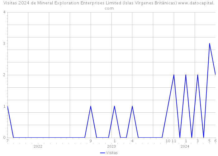 Visitas 2024 de Mineral Exploration Enterprises Limited (Islas Vírgenes Británicas) 