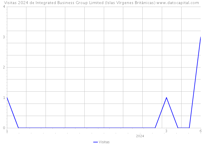 Visitas 2024 de Integrated Business Group Limited (Islas Vírgenes Británicas) 