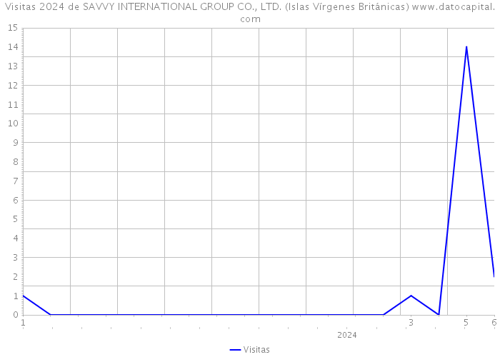 Visitas 2024 de SAVVY INTERNATIONAL GROUP CO., LTD. (Islas Vírgenes Británicas) 