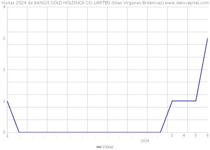 Visitas 2024 de JIANGXI GOLD HOLDINGS CO. LIMITED (Islas Vírgenes Británicas) 