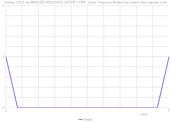 Visitas 2024 de BRIDGES HOLDINGS GROUP CORP. (Islas Vírgenes Británicas) 