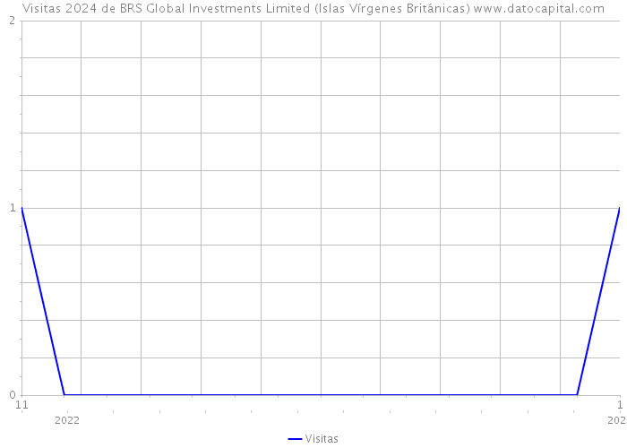 Visitas 2024 de BRS Global Investments Limited (Islas Vírgenes Británicas) 
