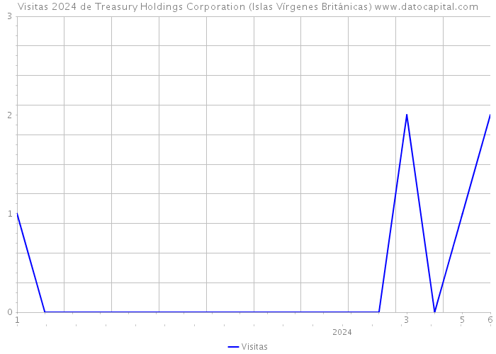Visitas 2024 de Treasury Holdings Corporation (Islas Vírgenes Británicas) 