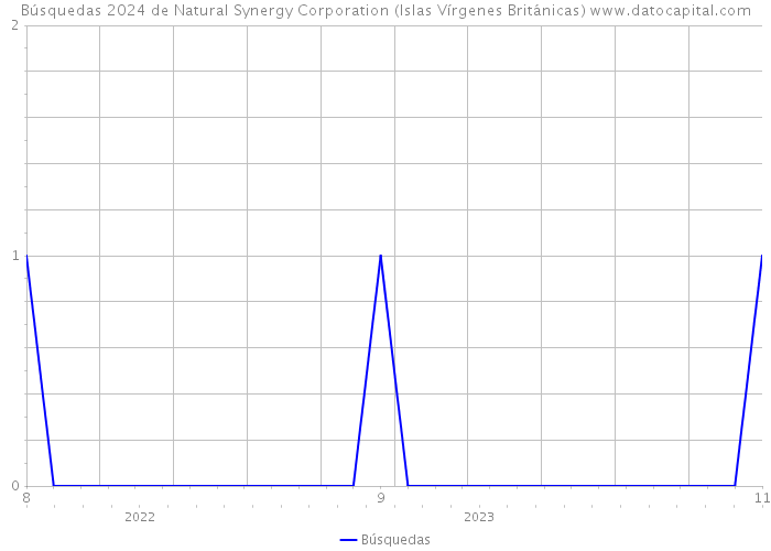 Búsquedas 2024 de Natural Synergy Corporation (Islas Vírgenes Británicas) 