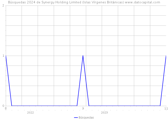 Búsquedas 2024 de Synergy Holding Limited (Islas Vírgenes Británicas) 