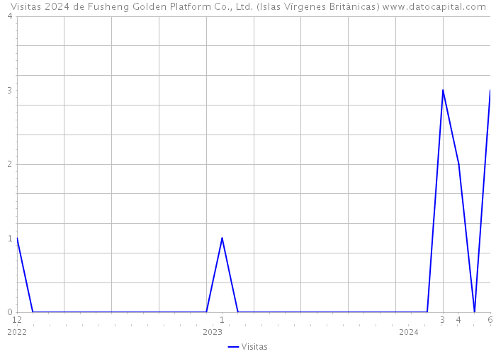 Visitas 2024 de Fusheng Golden Platform Co., Ltd. (Islas Vírgenes Británicas) 