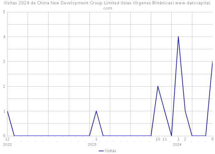 Visitas 2024 de China New Development Group Limited (Islas Vírgenes Británicas) 