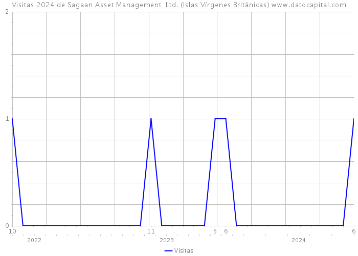 Visitas 2024 de Sagaan Asset Management Ltd. (Islas Vírgenes Británicas) 