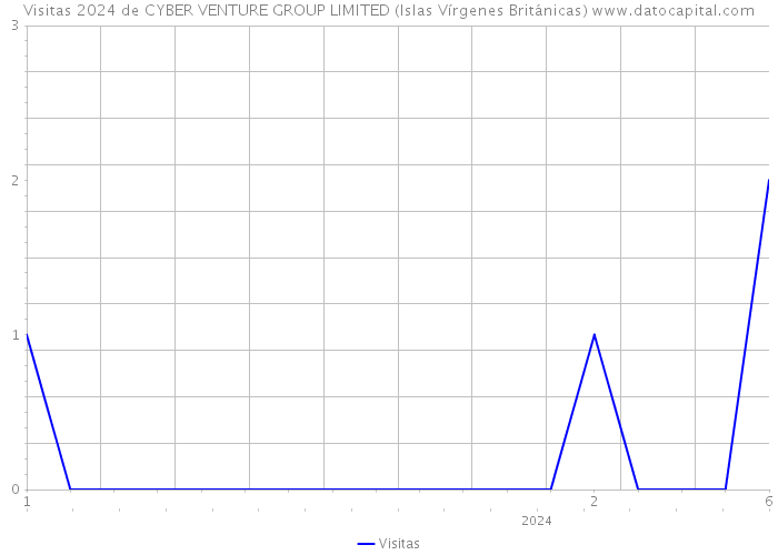 Visitas 2024 de CYBER VENTURE GROUP LIMITED (Islas Vírgenes Británicas) 