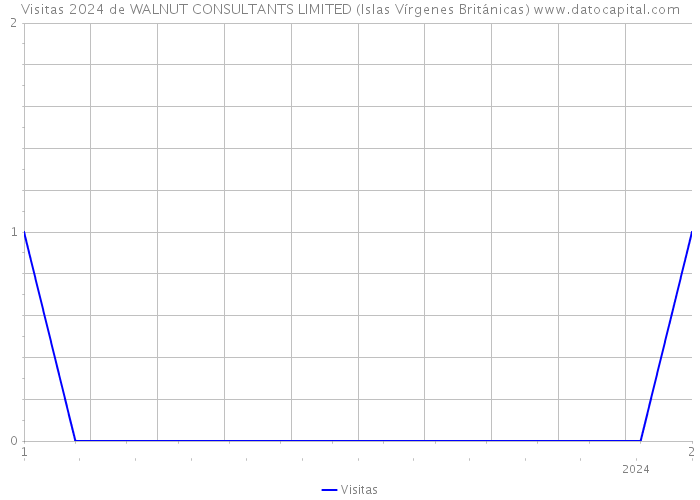 Visitas 2024 de WALNUT CONSULTANTS LIMITED (Islas Vírgenes Británicas) 