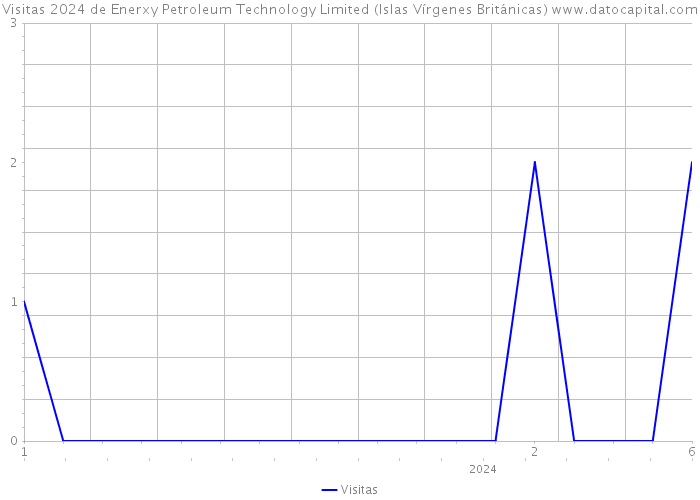 Visitas 2024 de Enerxy Petroleum Technology Limited (Islas Vírgenes Británicas) 