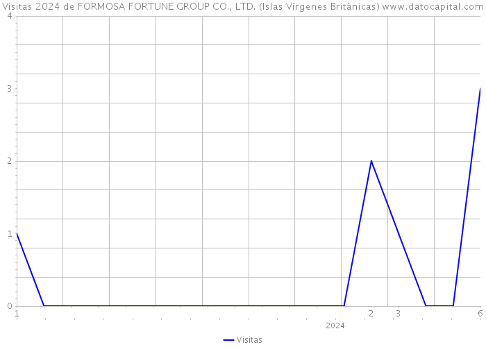 Visitas 2024 de FORMOSA FORTUNE GROUP CO., LTD. (Islas Vírgenes Británicas) 