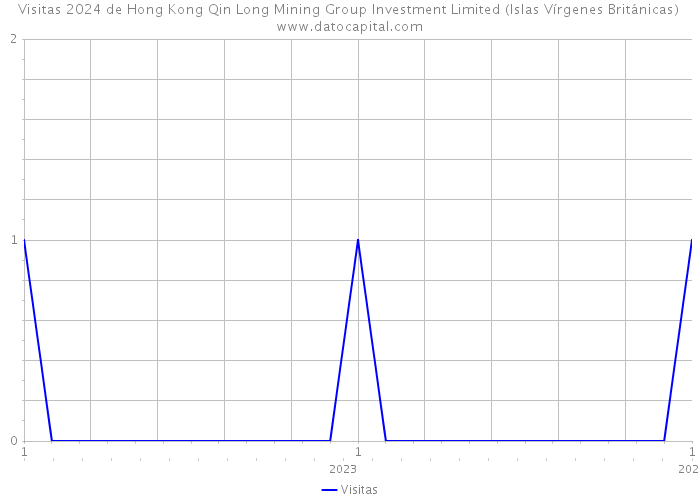 Visitas 2024 de Hong Kong Qin Long Mining Group Investment Limited (Islas Vírgenes Británicas) 