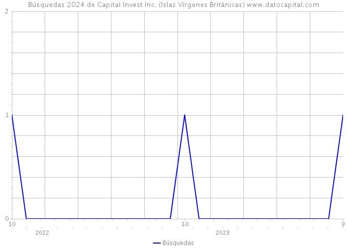 Búsquedas 2024 de Capital Invest Inc. (Islas Vírgenes Británicas) 
