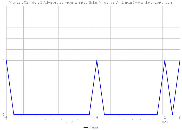 Visitas 2024 de BG Advisory Services Limited (Islas Vírgenes Británicas) 