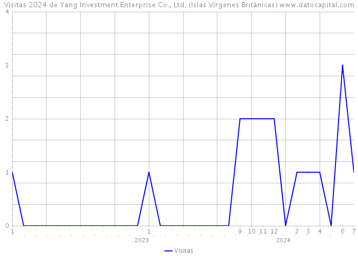 Visitas 2024 de Yang Investment Enterprise Co., Ltd. (Islas Vírgenes Británicas) 