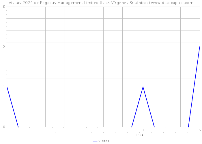 Visitas 2024 de Pegasus Management Limited (Islas Vírgenes Británicas) 