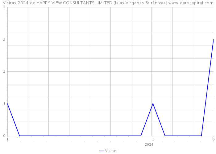 Visitas 2024 de HAPPY VIEW CONSULTANTS LIMITED (Islas Vírgenes Británicas) 