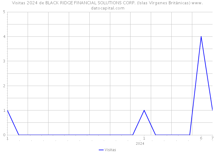 Visitas 2024 de BLACK RIDGE FINANCIAL SOLUTIONS CORP. (Islas Vírgenes Británicas) 