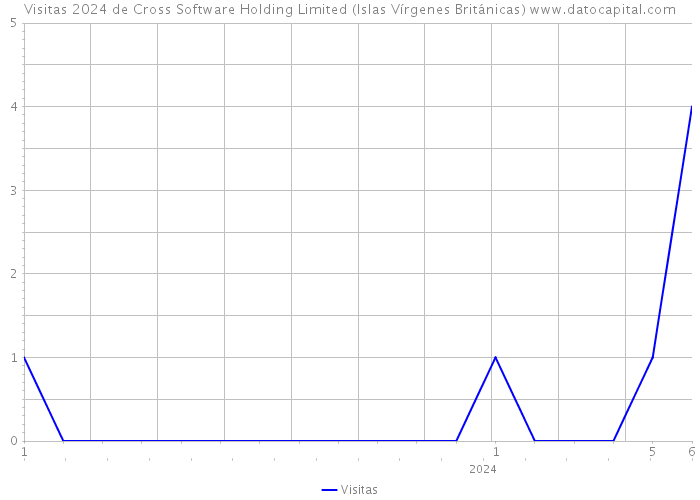 Visitas 2024 de Cross Software Holding Limited (Islas Vírgenes Británicas) 