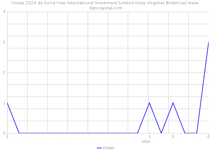 Visitas 2024 de Good View International Investment Limited (Islas Vírgenes Británicas) 