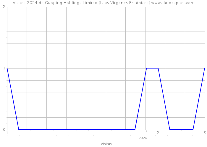 Visitas 2024 de Guoping Holdings Limited (Islas Vírgenes Británicas) 