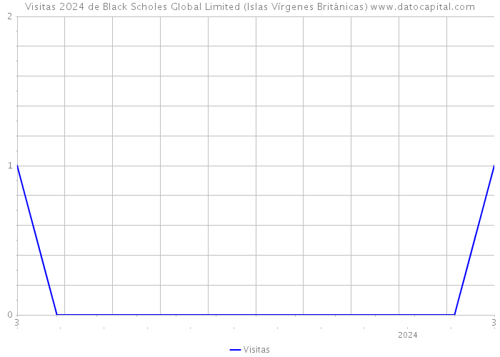 Visitas 2024 de Black Scholes Global Limited (Islas Vírgenes Británicas) 