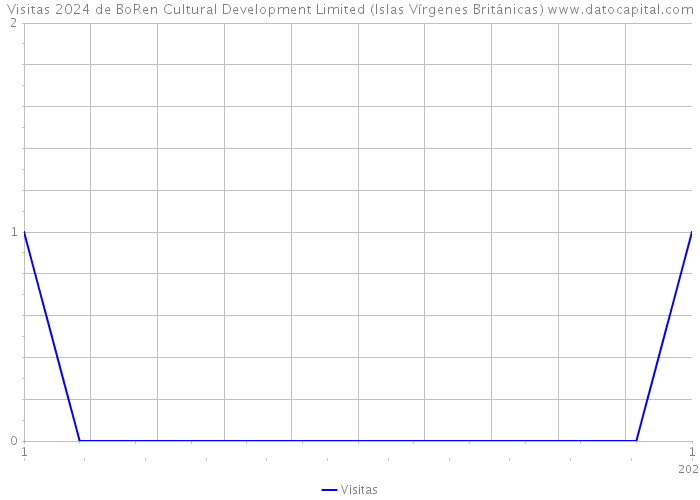 Visitas 2024 de BoRen Cultural Development Limited (Islas Vírgenes Británicas) 