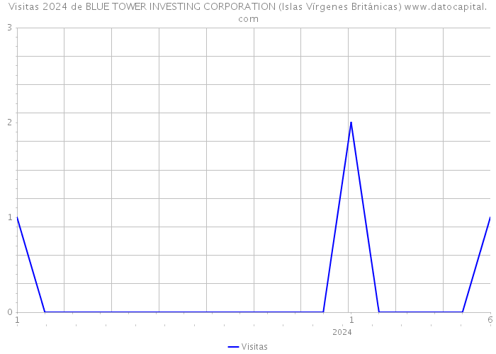 Visitas 2024 de BLUE TOWER INVESTING CORPORATION (Islas Vírgenes Británicas) 