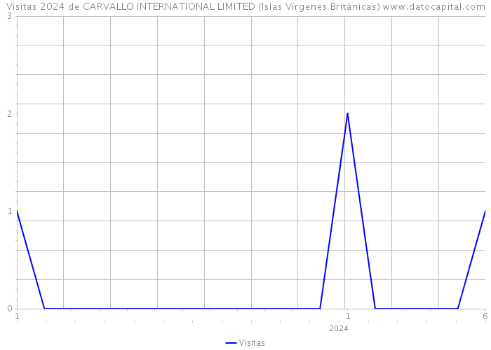 Visitas 2024 de CARVALLO INTERNATIONAL LIMITED (Islas Vírgenes Británicas) 
