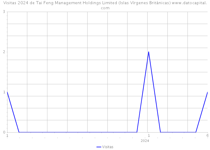 Visitas 2024 de Tai Feng Management Holdings Limited (Islas Vírgenes Británicas) 