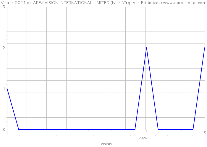 Visitas 2024 de APEX VISION INTERNATIONAL LIMITED (Islas Vírgenes Británicas) 