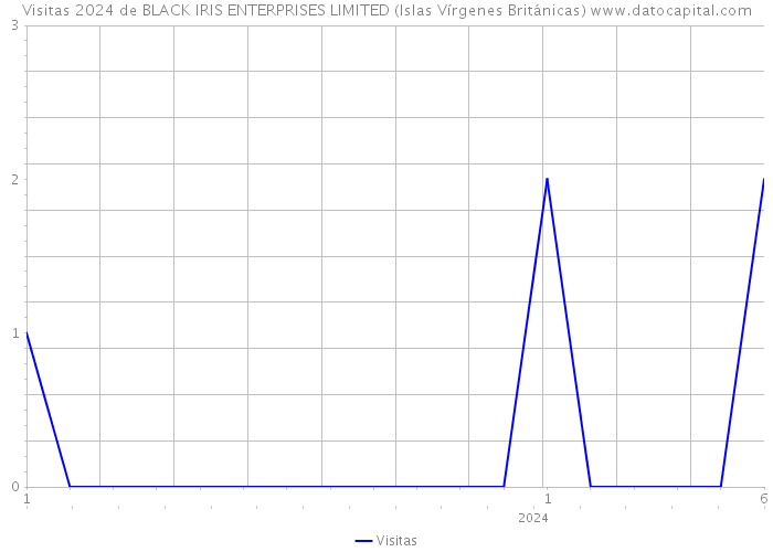 Visitas 2024 de BLACK IRIS ENTERPRISES LIMITED (Islas Vírgenes Británicas) 