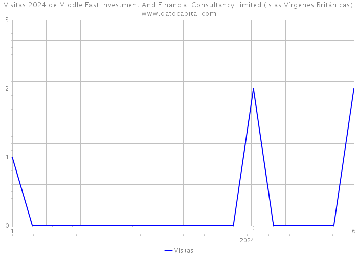Visitas 2024 de Middle East Investment And Financial Consultancy Limited (Islas Vírgenes Británicas) 