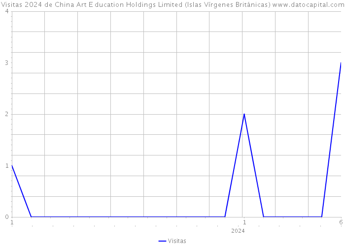 Visitas 2024 de China Art E ducation Holdings Limited (Islas Vírgenes Británicas) 