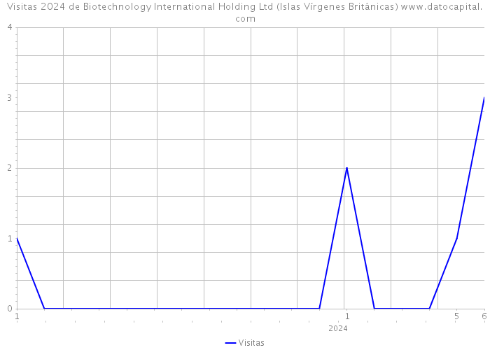 Visitas 2024 de Biotechnology International Holding Ltd (Islas Vírgenes Británicas) 