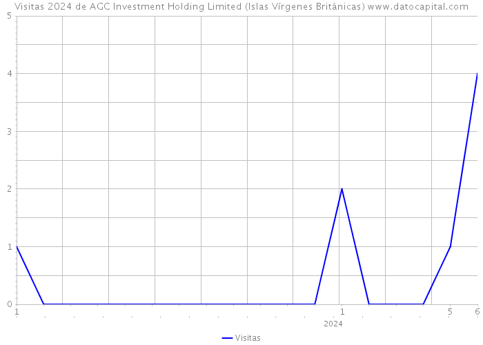 Visitas 2024 de AGC Investment Holding Limited (Islas Vírgenes Británicas) 