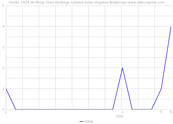 Visitas 2024 de Ming Chen Holdings Limited (Islas Vírgenes Británicas) 