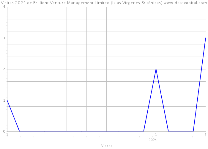 Visitas 2024 de Brilliant Venture Management Limited (Islas Vírgenes Británicas) 