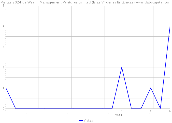 Visitas 2024 de Wealth Management Ventures Limited (Islas Vírgenes Británicas) 