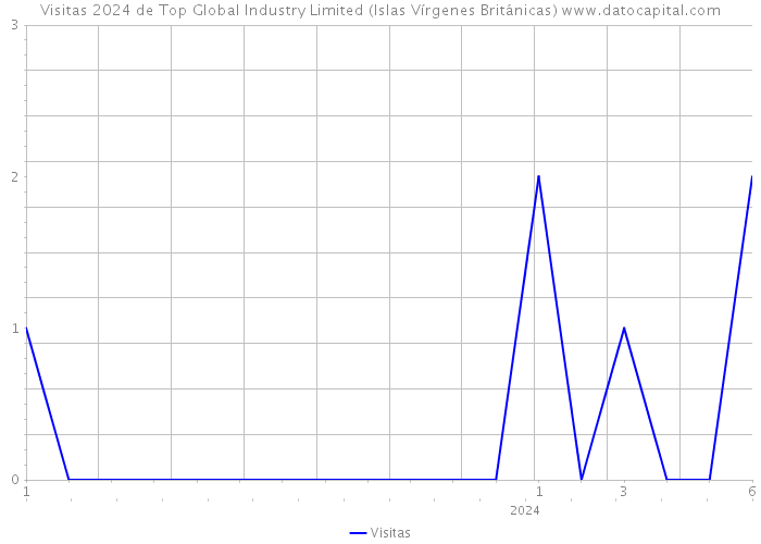 Visitas 2024 de Top Global Industry Limited (Islas Vírgenes Británicas) 