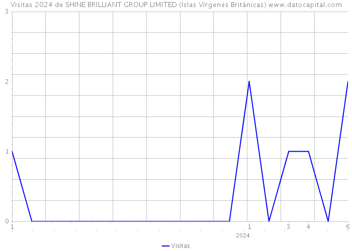 Visitas 2024 de SHINE BRILLIANT GROUP LIMITED (Islas Vírgenes Británicas) 