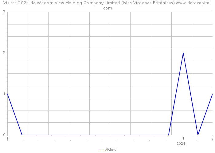 Visitas 2024 de Wisdom View Holding Company Limited (Islas Vírgenes Británicas) 
