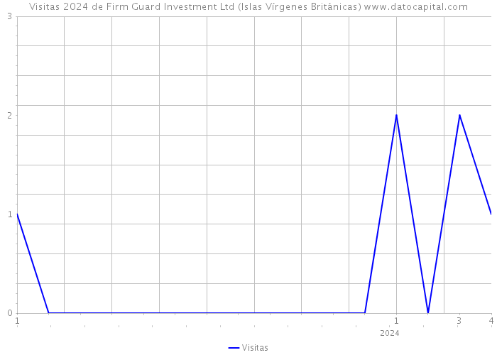 Visitas 2024 de Firm Guard Investment Ltd (Islas Vírgenes Británicas) 