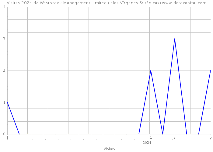 Visitas 2024 de Westbrook Management Limited (Islas Vírgenes Británicas) 