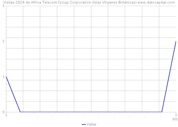 Visitas 2024 de Africa Telecom Group Corporation (Islas Vírgenes Británicas) 