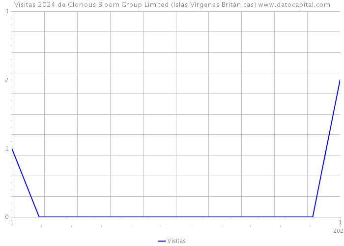 Visitas 2024 de Glorious Bloom Group Limited (Islas Vírgenes Británicas) 
