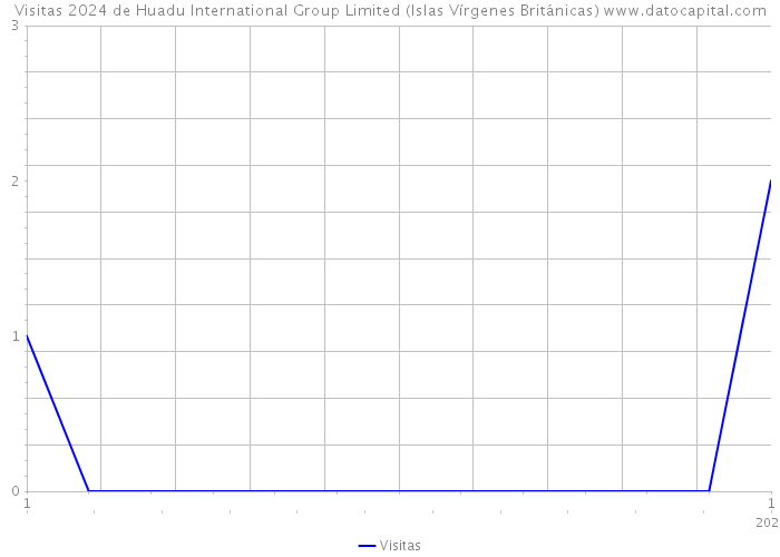 Visitas 2024 de Huadu International Group Limited (Islas Vírgenes Británicas) 