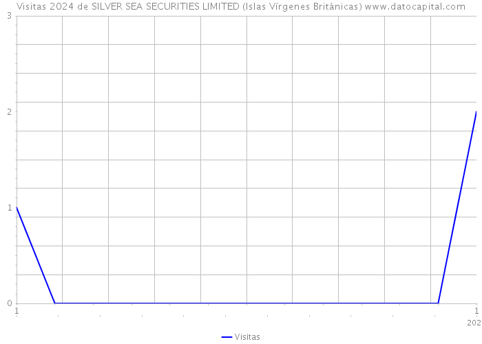 Visitas 2024 de SILVER SEA SECURITIES LIMITED (Islas Vírgenes Británicas) 