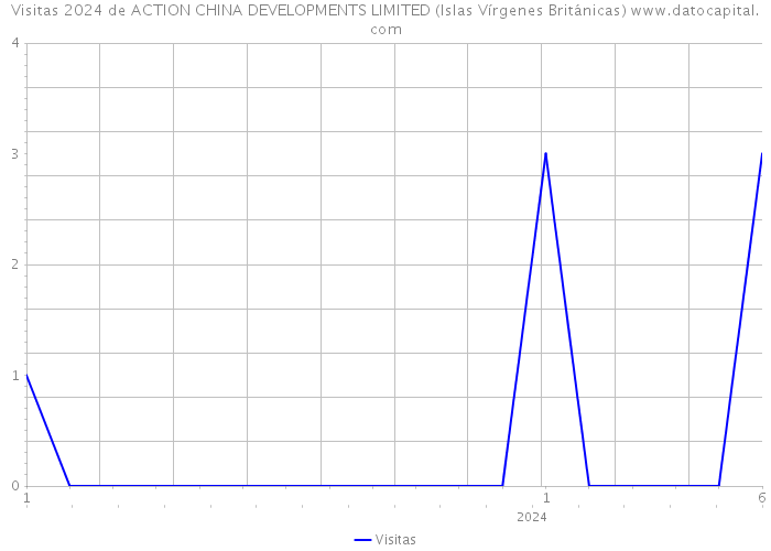 Visitas 2024 de ACTION CHINA DEVELOPMENTS LIMITED (Islas Vírgenes Británicas) 